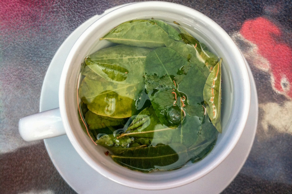 Best Mate de Coca Near Me